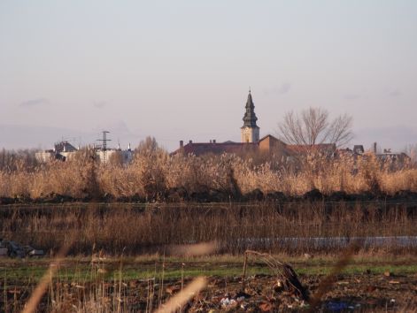 dscf3278.jpg